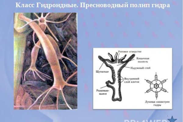 Как войти в кракен через тор